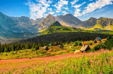 Co robić z dziećmi w Zakopanem? 7 pomysłów na rodzinny dzień pod Tatrami